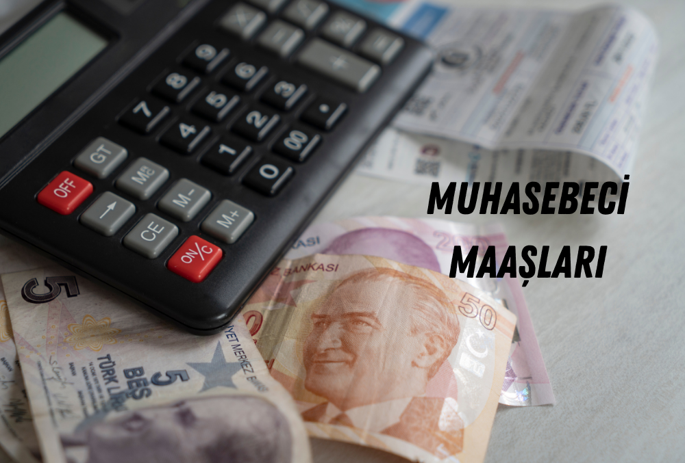 muhasebeci maaslari 2